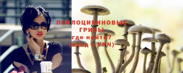 эйфоретик Горняк