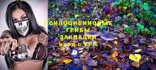 эйфоретик Горняк