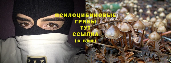 эйфоретик Горняк